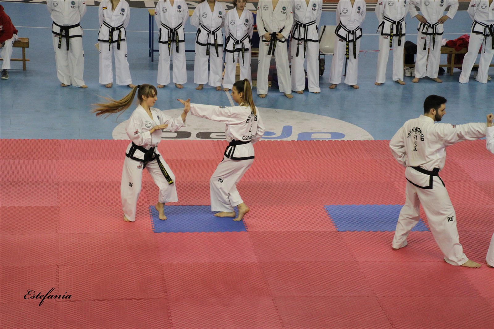 Taekwondo (211).jpg